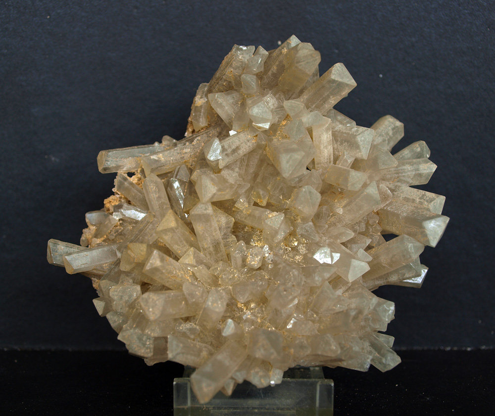 Celestina
11 x 9 cm
(Autor: Pedro Antonio)