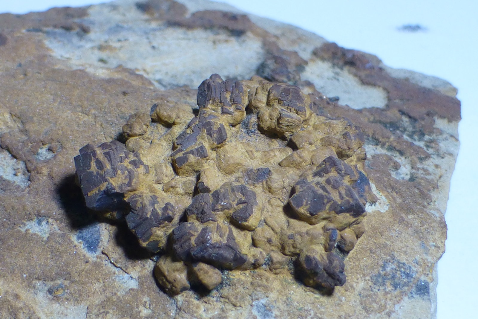 limonita pseudo Pirita
Grupo de cristales 2,4 cm
(Autor: heat00)