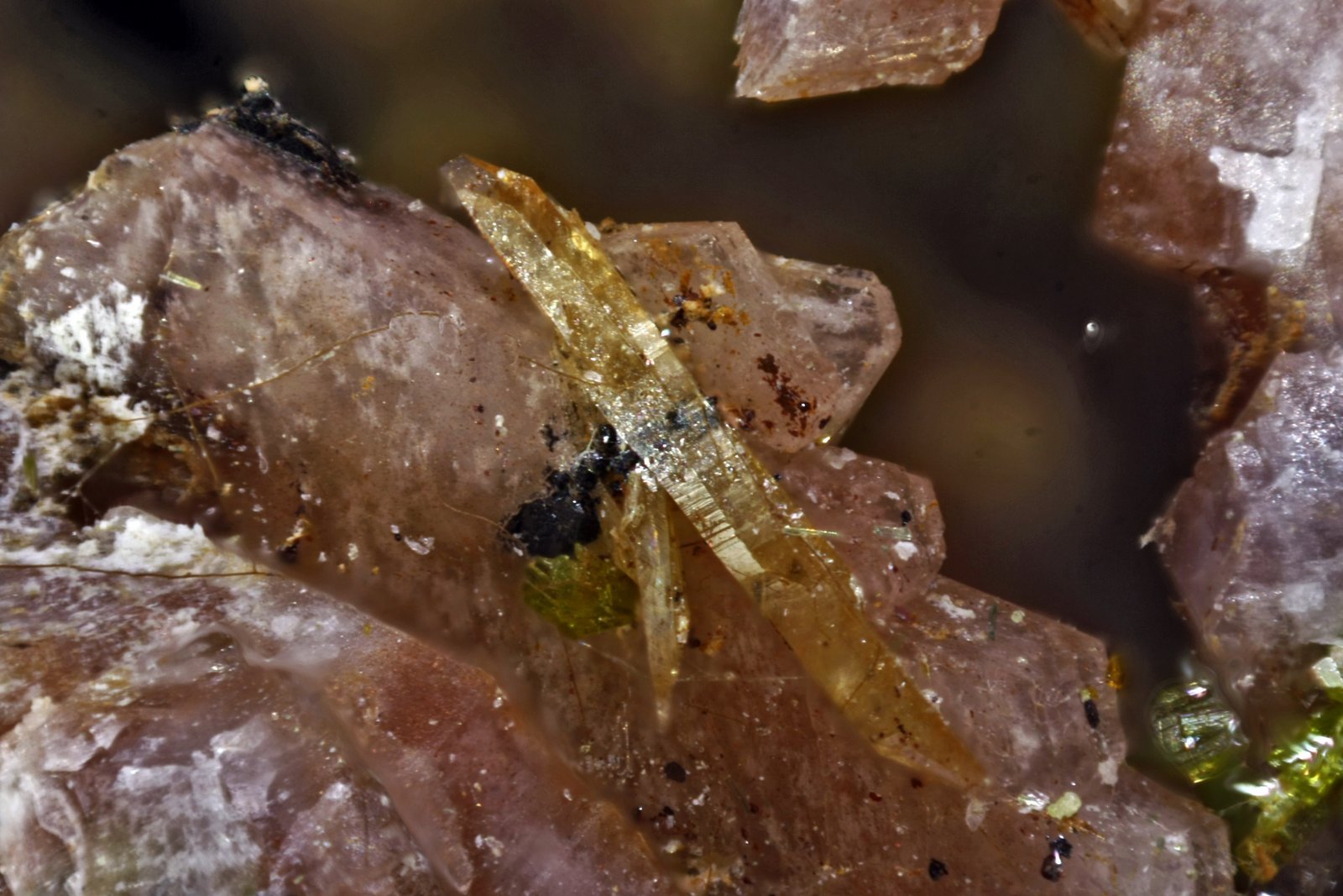 Titanita
Cristal mayor 4 mm
(Autor: Jorgina-Agusti-Màrius)