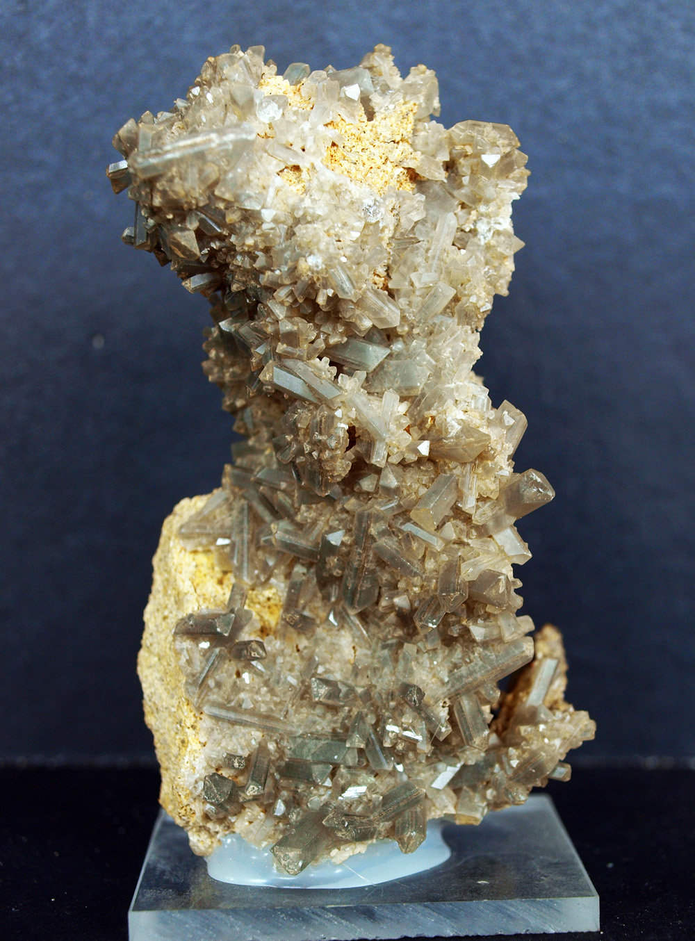 Celestina
9 x 4 cm
(Autor: Pedro Antonio)