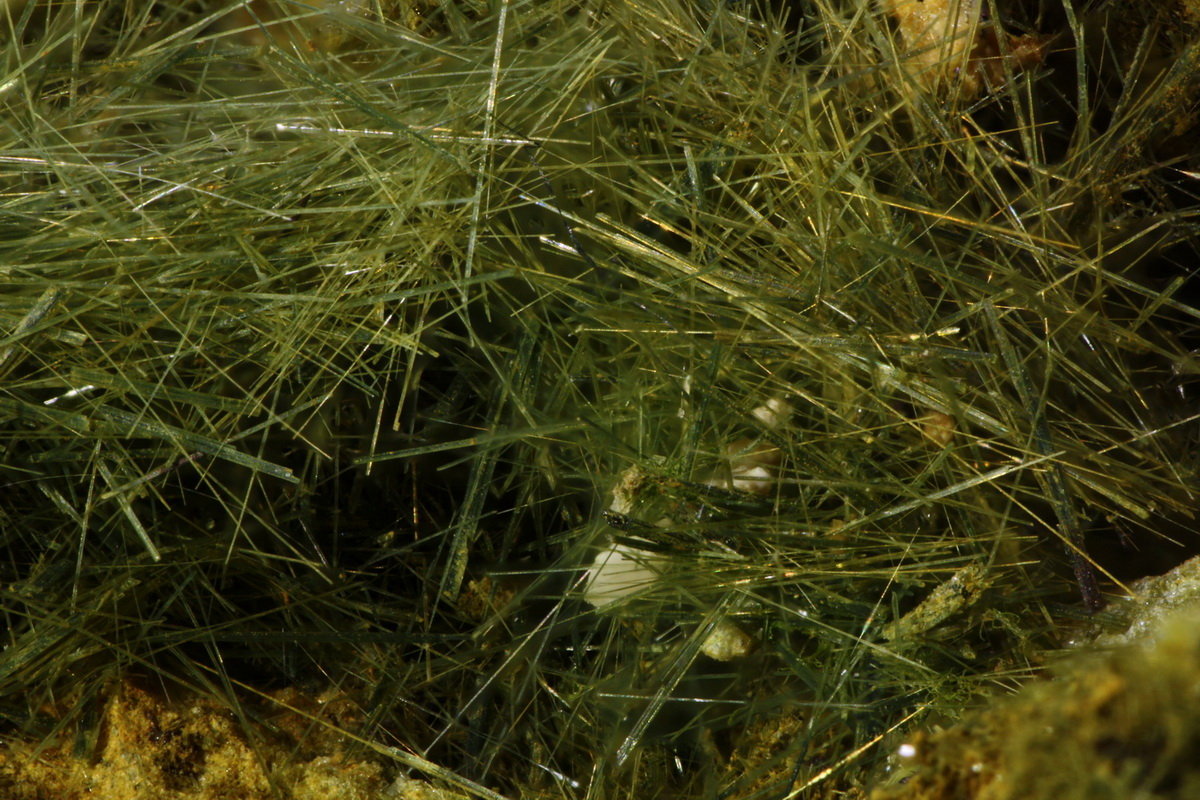 Actinolita (variedad byssolita / bisolita)
8 mm
(Autor: Jorgina-Agusti-Màrius)