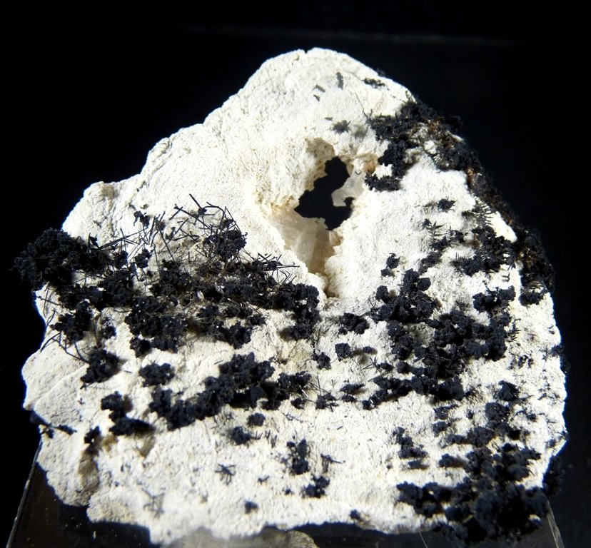 Plata.
60x55 mm.
(Autor: Jesus Franquesa Baucells)