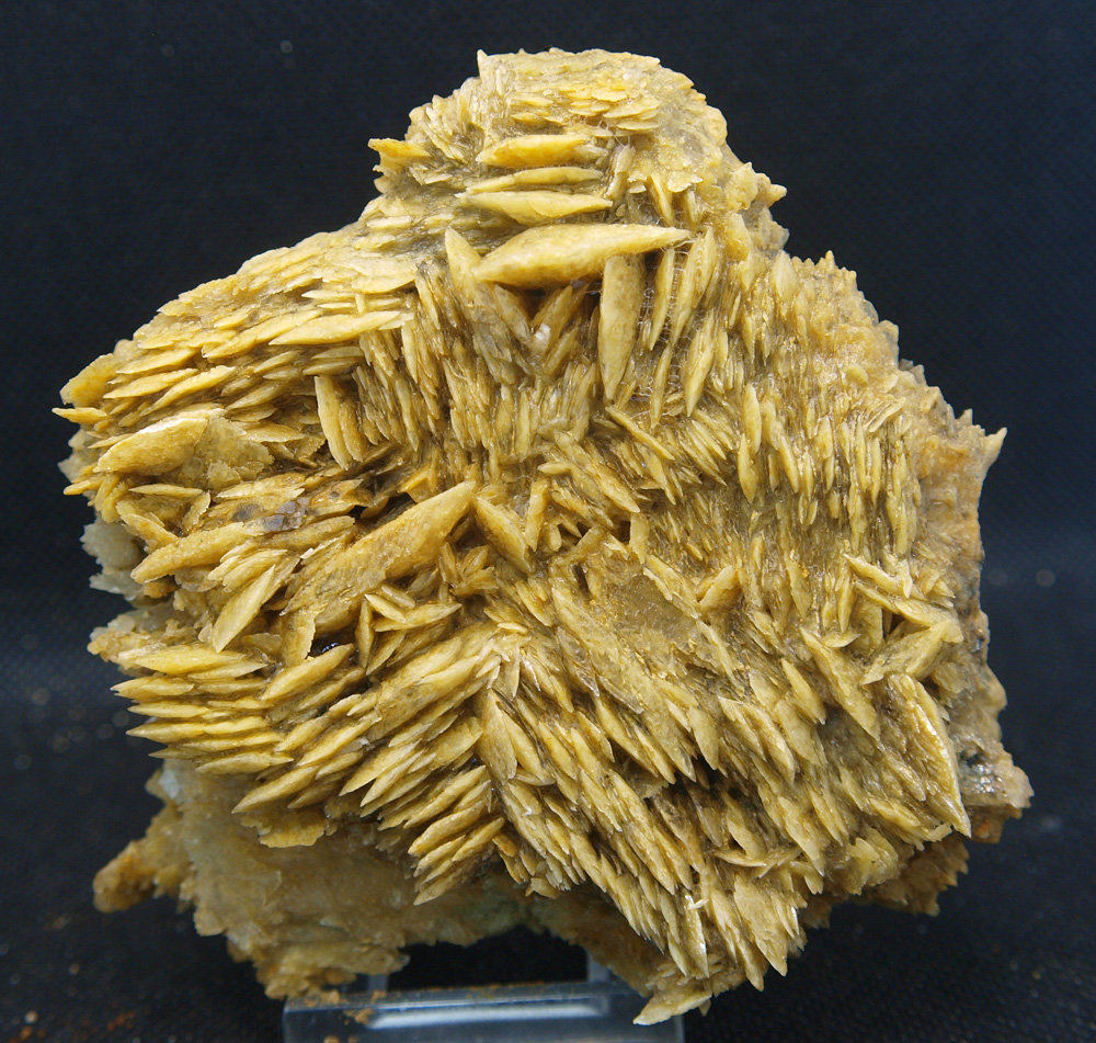 Yeso
10 x 9.5 cm
(Autor: Pedro Antonio)