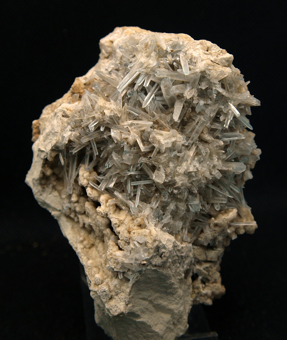 Celestina
10.5 x 8 cm
(Autor: Pedro Antonio)