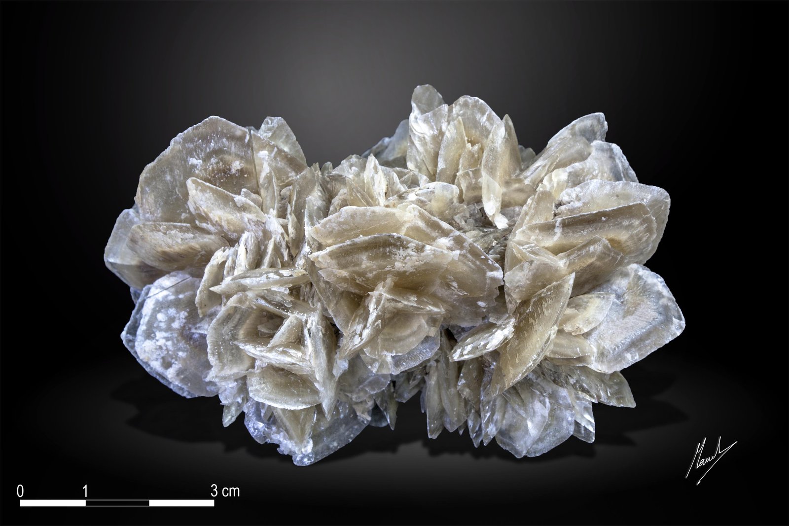 Yeso
89 x 53 mm
(Autor: Manuel Mesa)