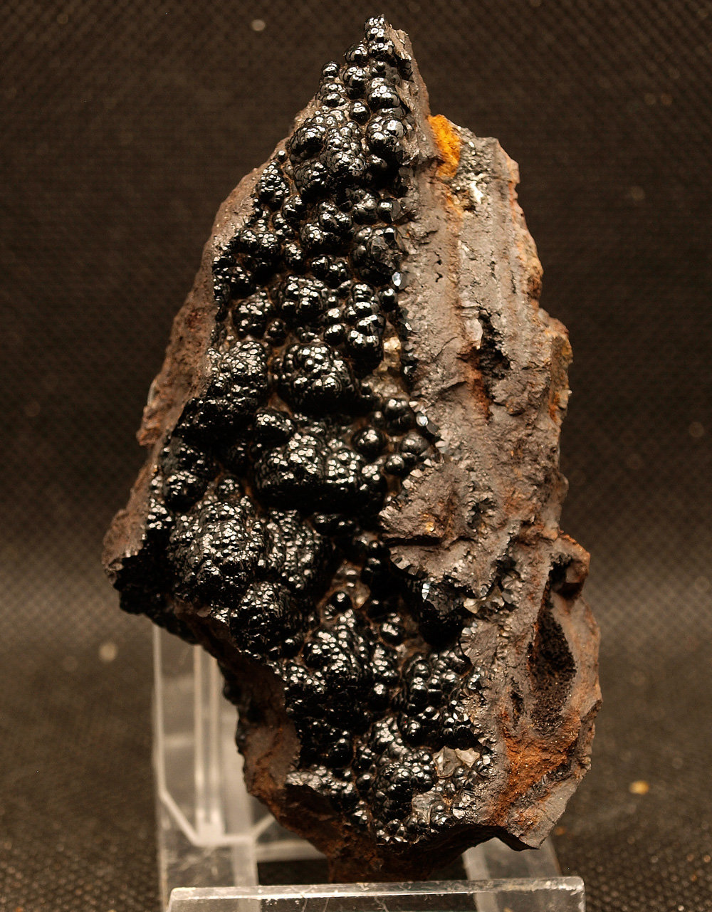 Goethita
8.5 x 5 cm
(Autor: Pedro Antonio)