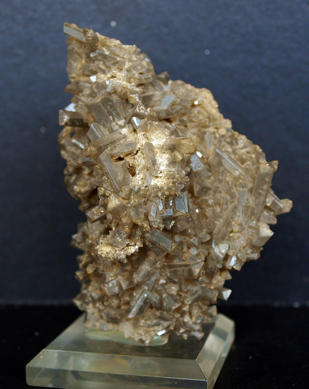 Celestina
8.5 x 6 cm
(Autor: Pedro Antonio)