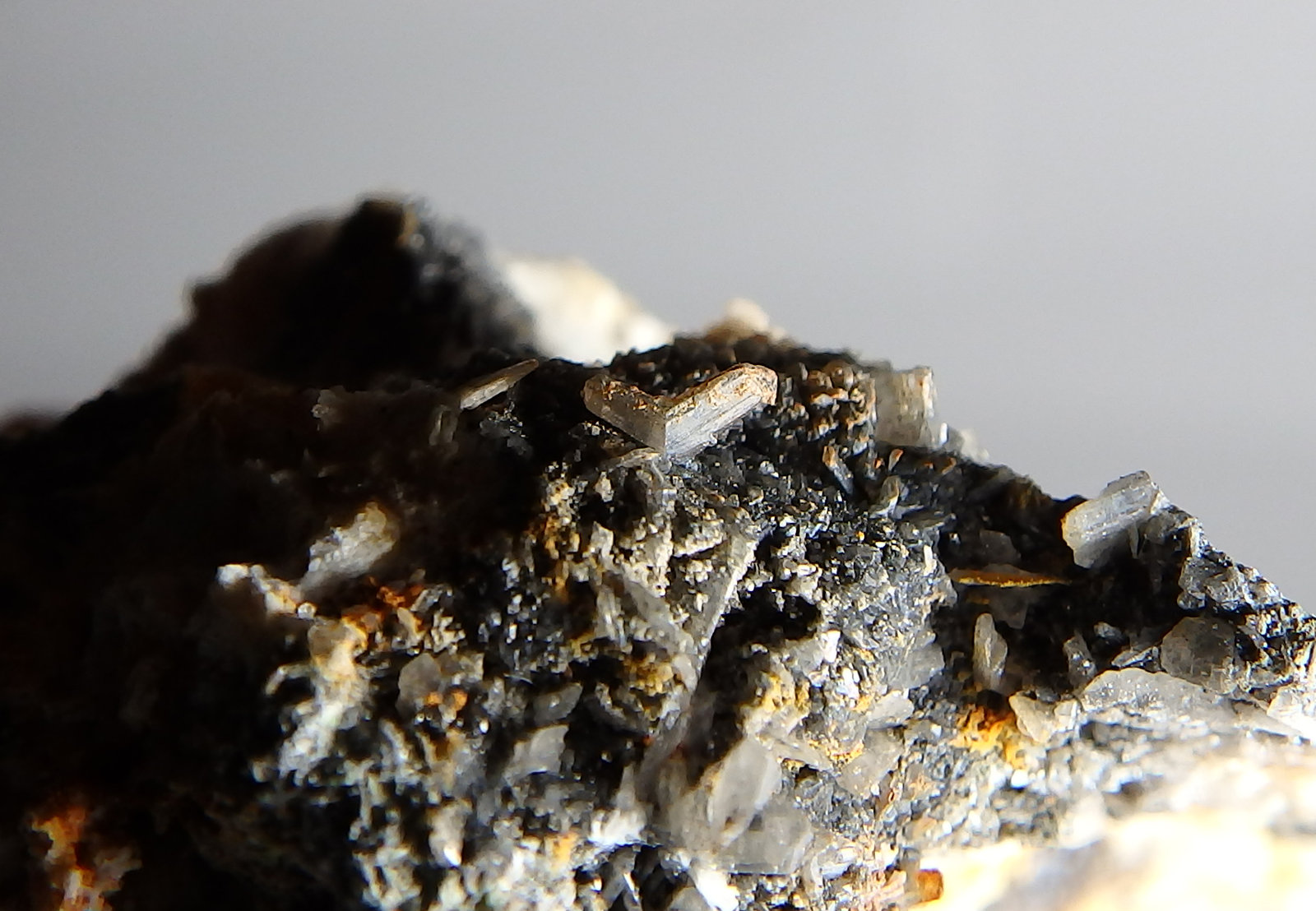 Cerusita
Macla de 5mm
(Autor: heat00)