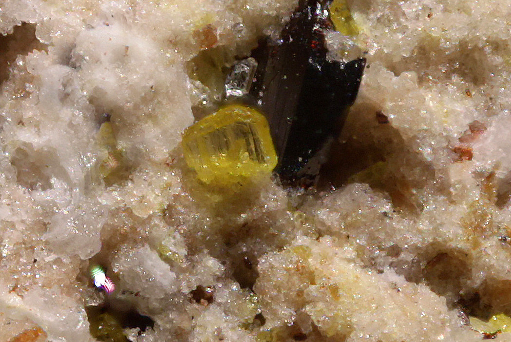 Richterita
0.5 x 0.5
(Autor: Jorgina-Agusti-Màrius)