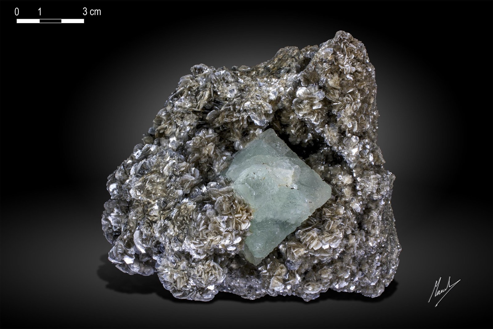 Fluorita
170 X 129 mm
(Autor: Manuel Mesa)