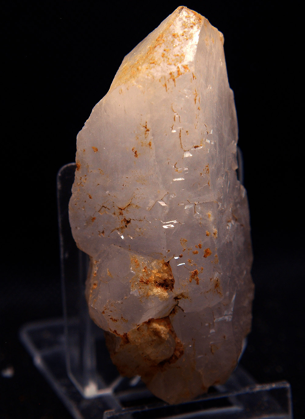 Celestina
8 x 3 cm
(Autor: Pedro Antonio)