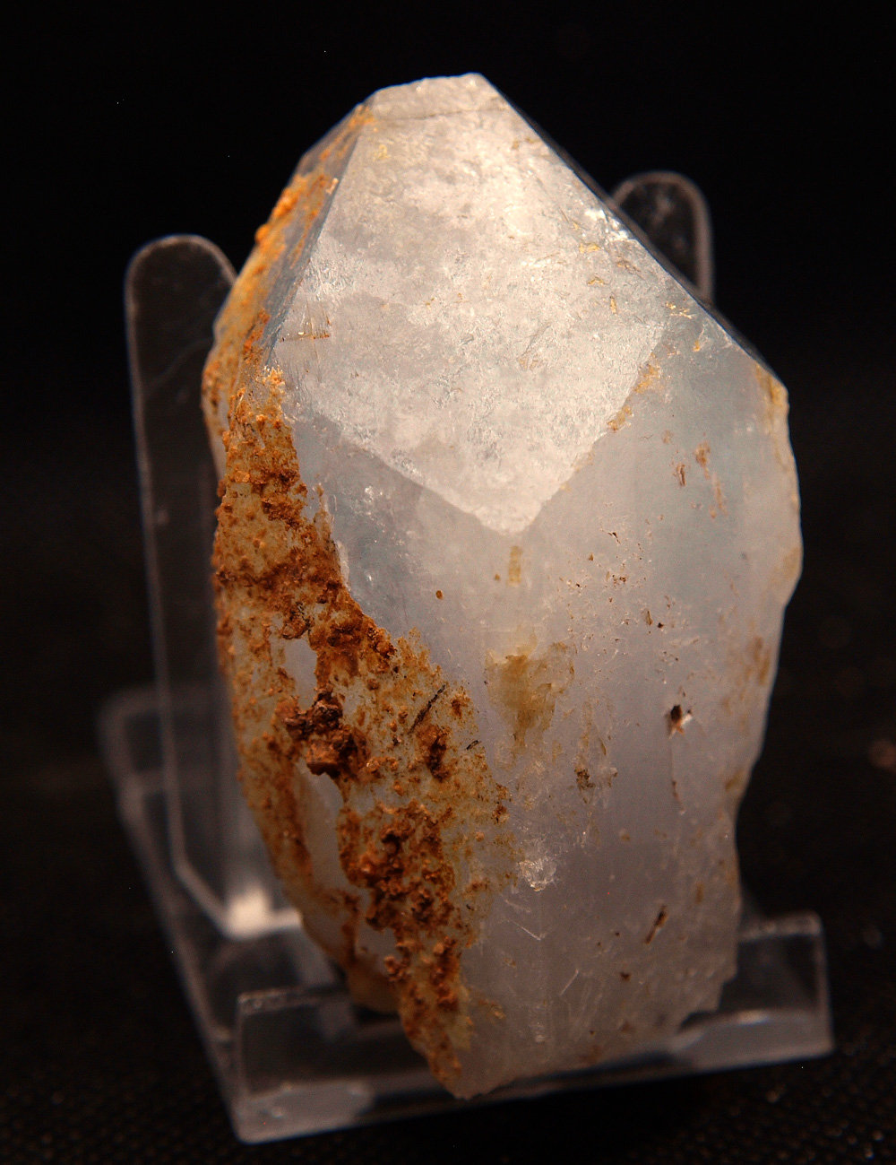Celestina
6.5 x 4 cm
(Autor: Pedro Antonio)