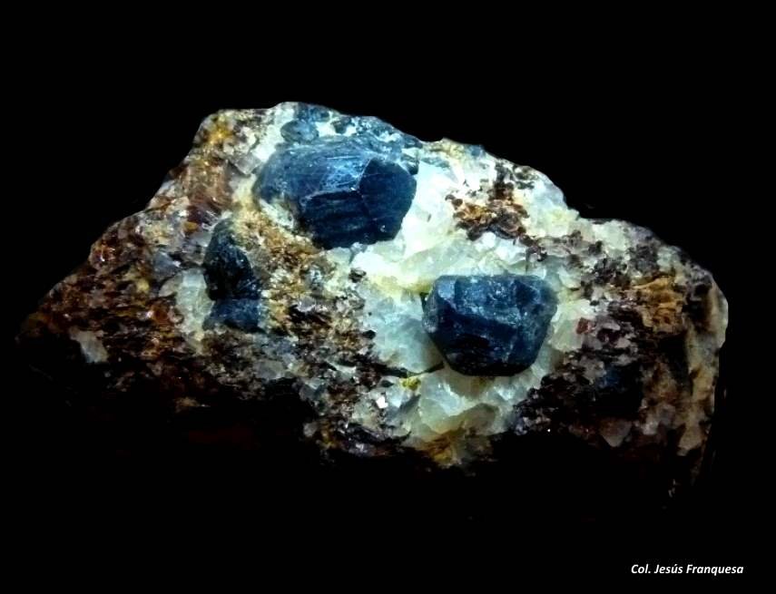 Sapphirina.
70x50 mm.
(Autor: Jesus Franquesa Baucells)