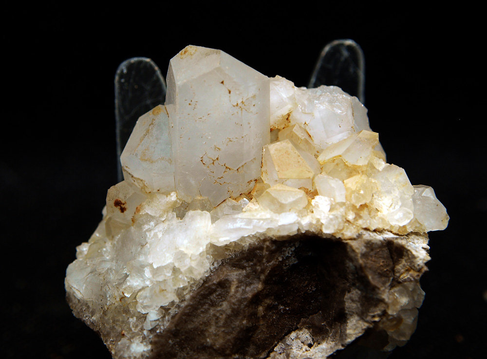 Celestina
6 x 6 cm
(Autor: Pedro Antonio)