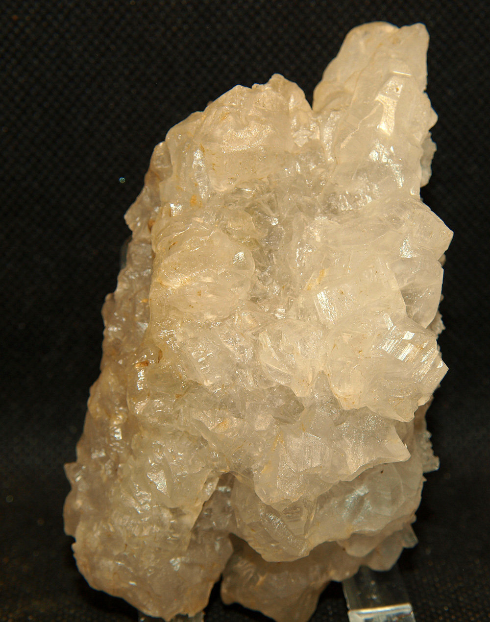 Yeso
10 x 5.5 cm
(Autor: Pedro Antonio)