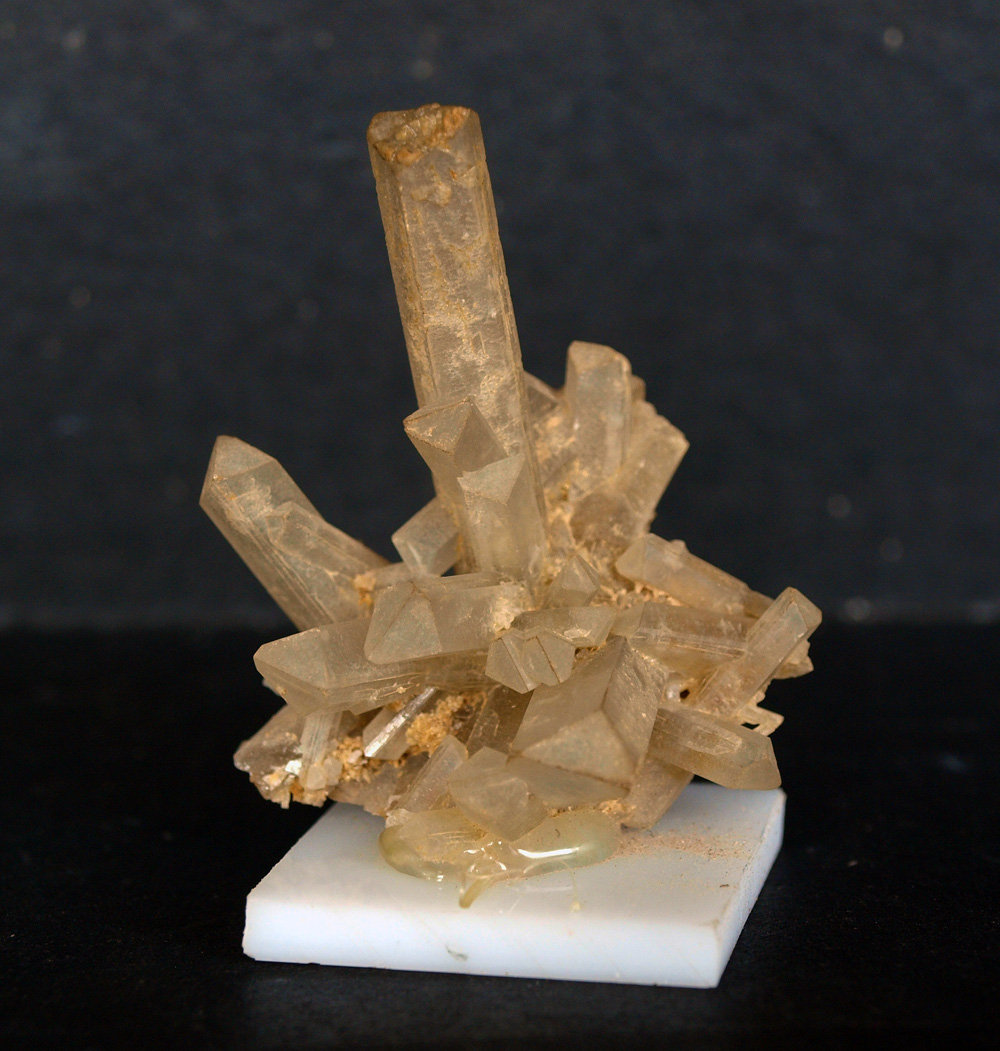 Celestina
4.5 4 cm
(Autor: Pedro Antonio)