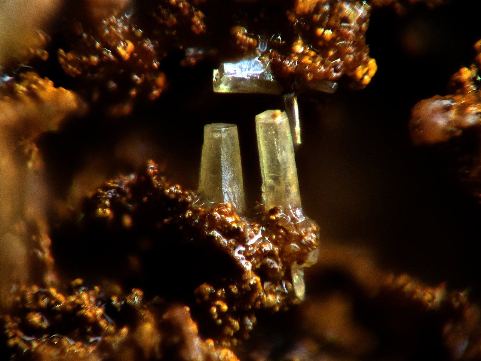 Mimetita
1,5 x 1,5 mm
(Autor: Frederic Varela)
