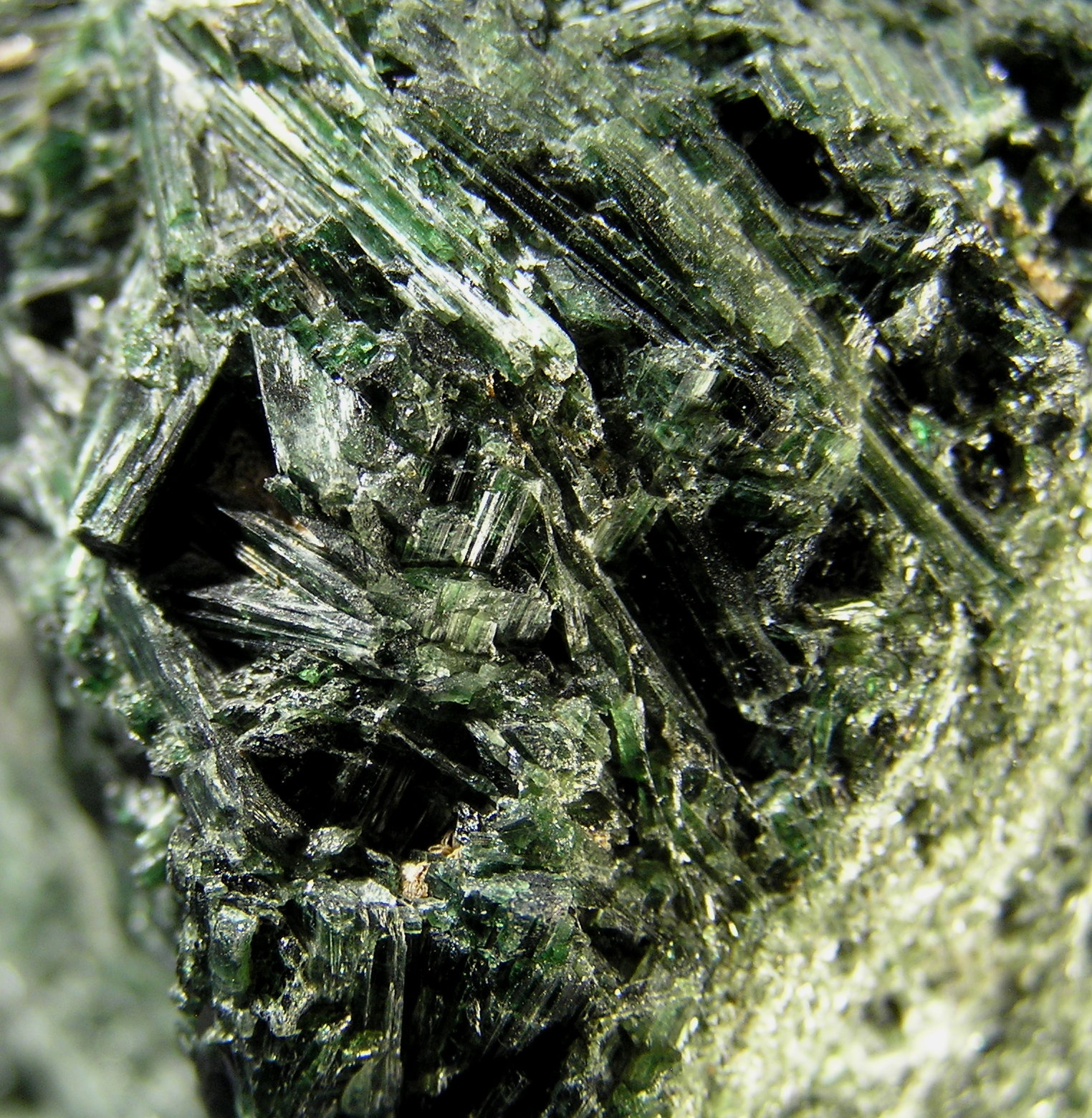 Actinolita
Encuadre 2 x 1,5 cm aprox
(Autor: Frederic Varela)