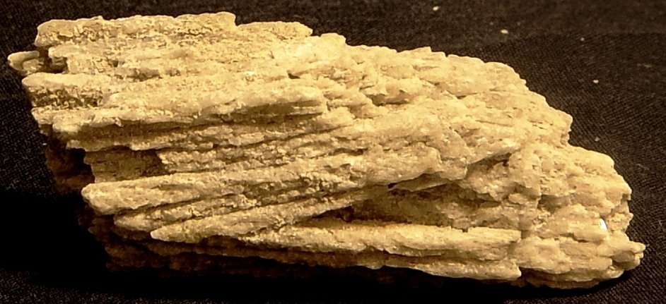 Yeso
4,7 x 2,5 cm
(Autor: angel picazo monroy)