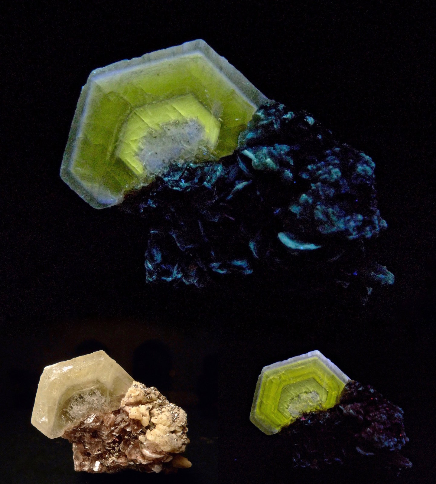 Fluorapatito
El cristal de apatito tiene 2,2 cm de diámetro
(Autor: Josele)