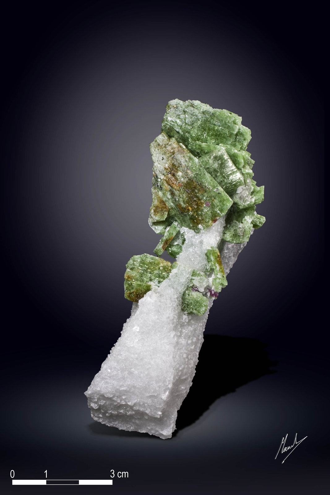 Pargasita
98 x 43 mm
(Autor: Manuel Mesa)