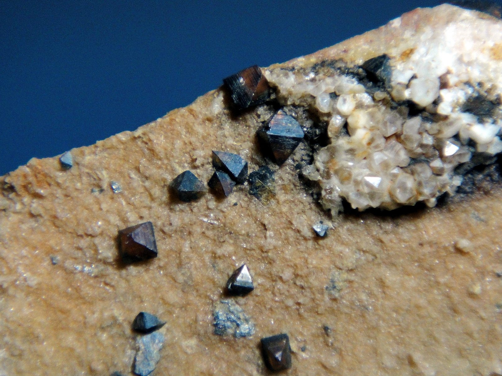 Anatasa
Cristales de 2-3 mm.
(Autor: Antonio P. López)