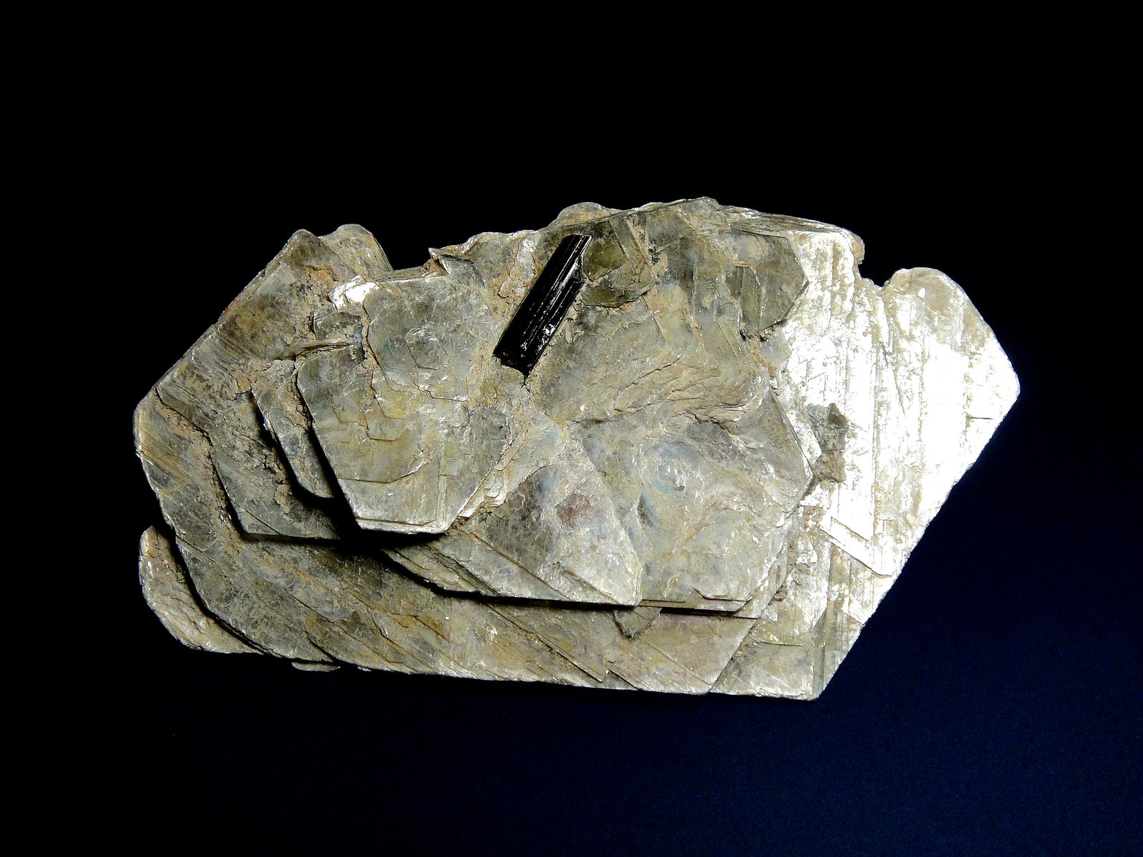 Rutilo en Moscovita
7 x 4 cm.
(Autor: Antonio P. López)