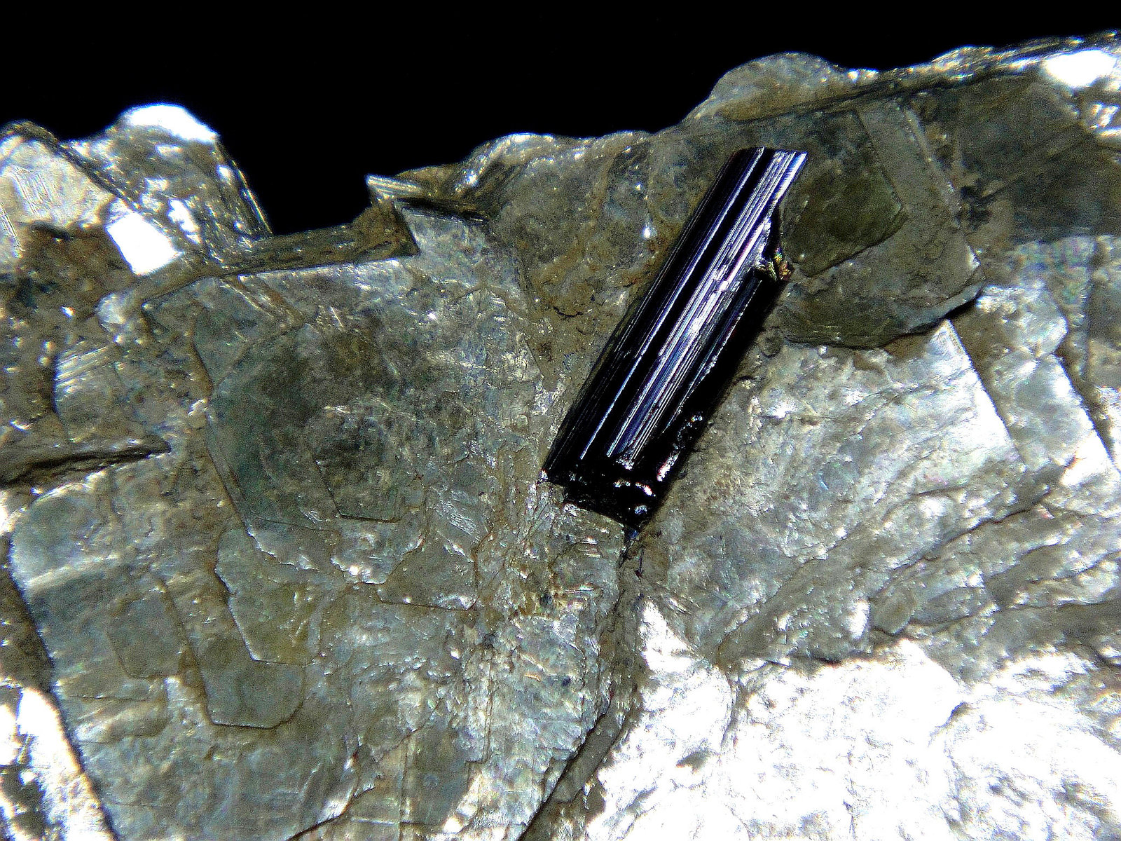 Rutilo en Moscovita
Cristal de 1 cm.
(Autor: Antonio P. López)