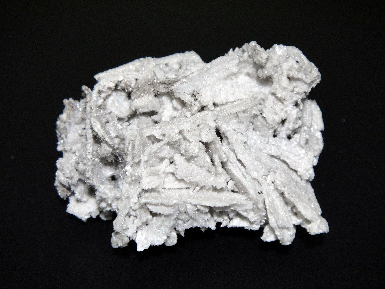 Claudetita
5 x 3 cm.
(Autor: Antonio P. López)