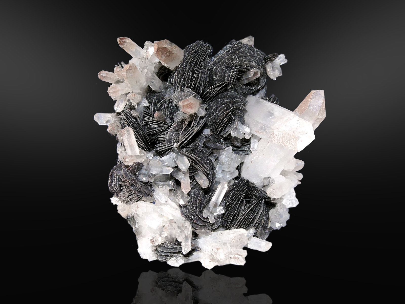 Hematites en Cuarzo
9 x 8 cm.
(Autor: Antonio P. López)