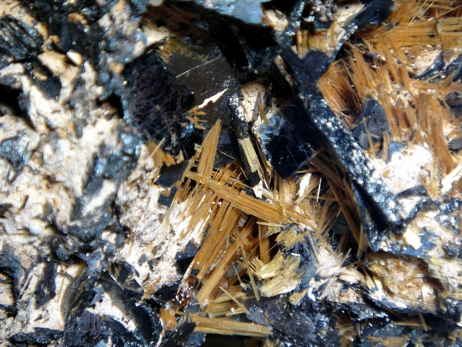 Rutilo en Hematites
Campo de visión 3 cm.
(Autor: Antonio P. López)