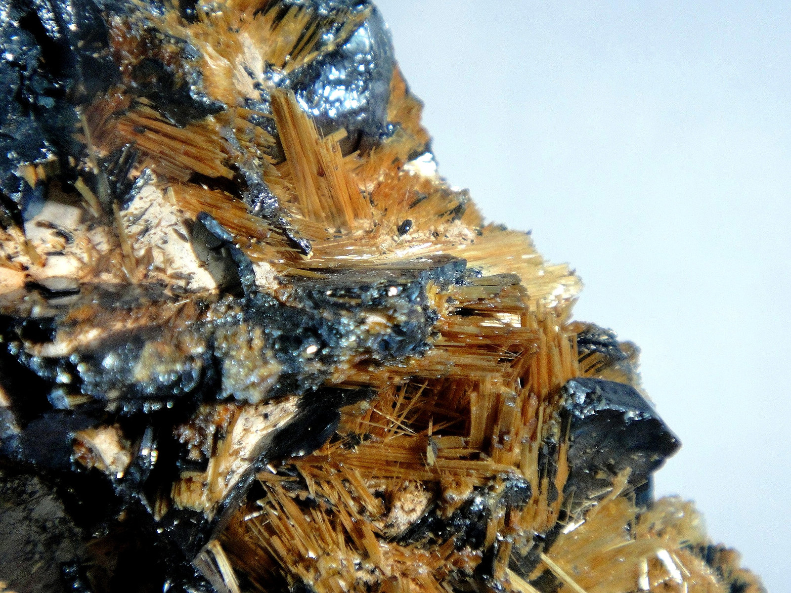 Rutilo en Hematites
Campo de visión 3 cm.
(Autor: Antonio P. López)