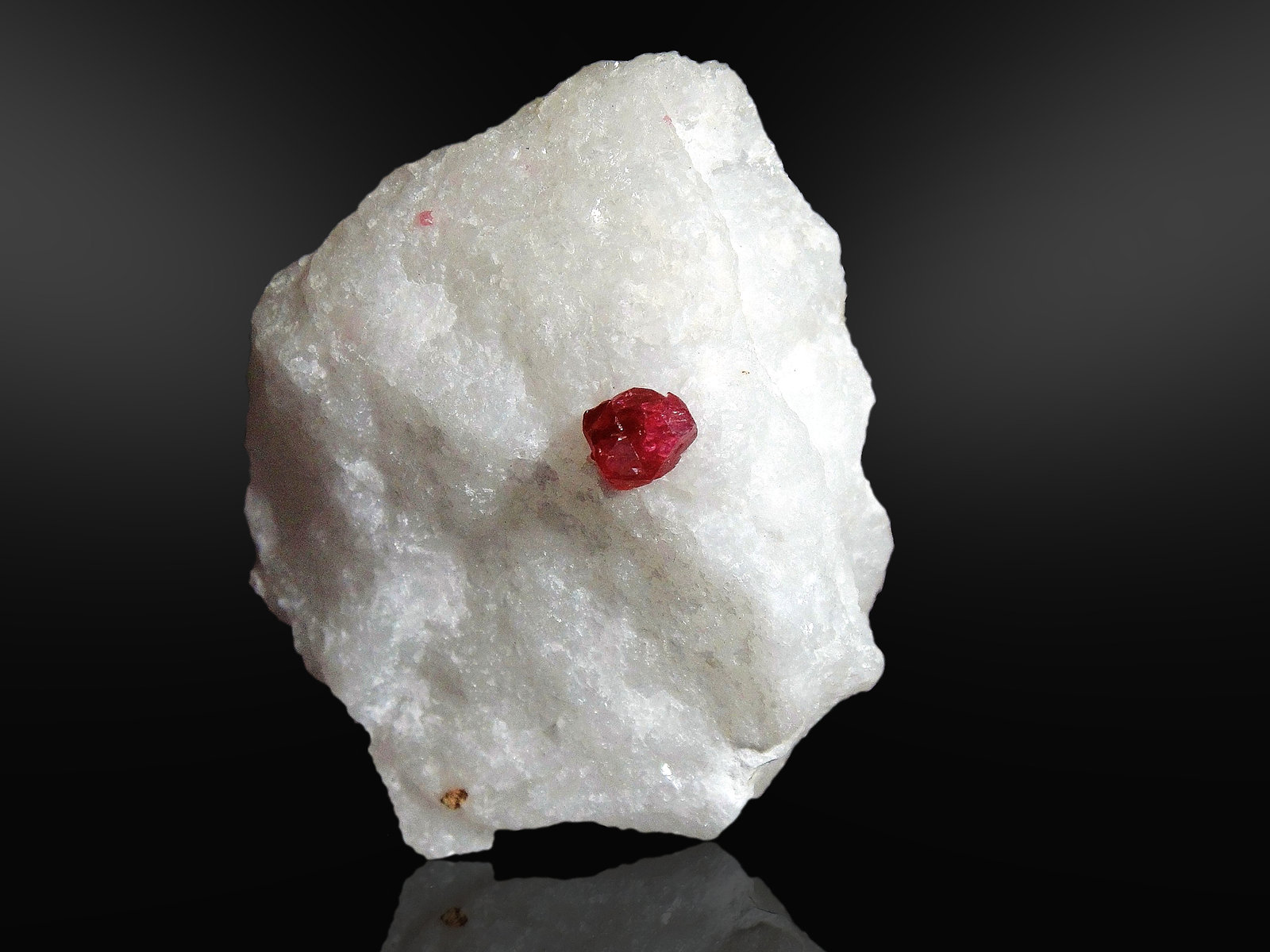 Espinela
6 x 5 cm.
(Autor: Antonio P. López)