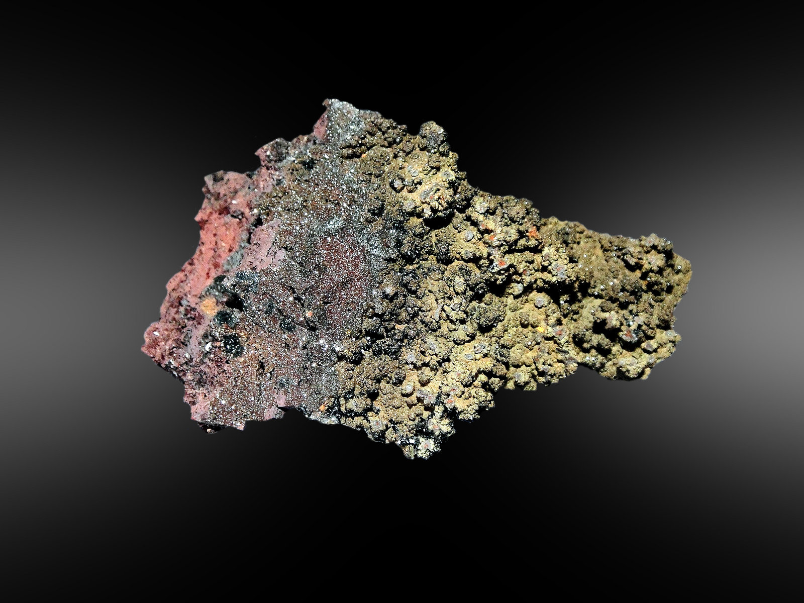 Plattnerita
8 x 5 cm.
(Autor: Antonio P. López)