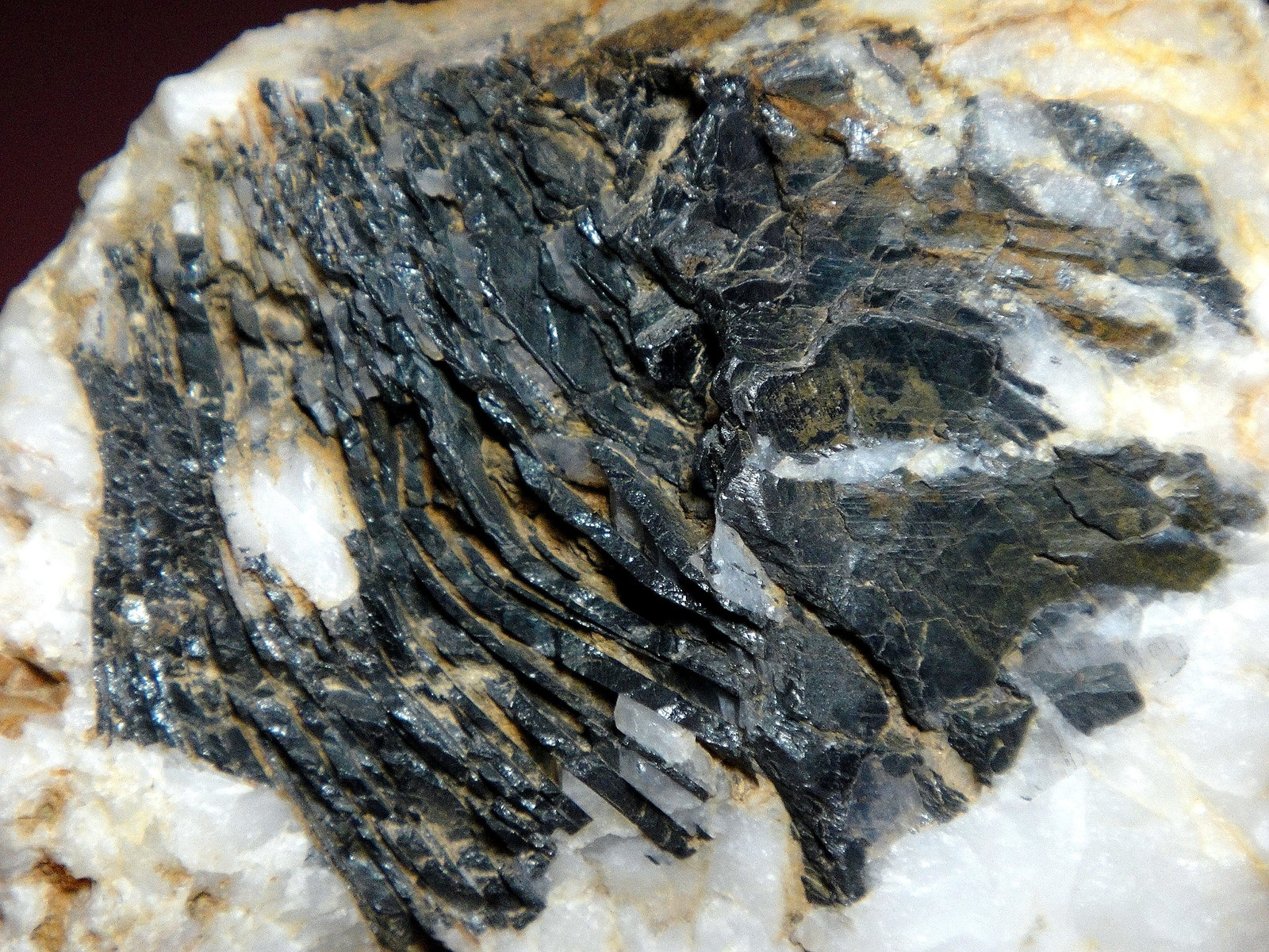 Hematites en Cuarzo
Campo de visión 5 cm.
(Autor: Antonio P. López)