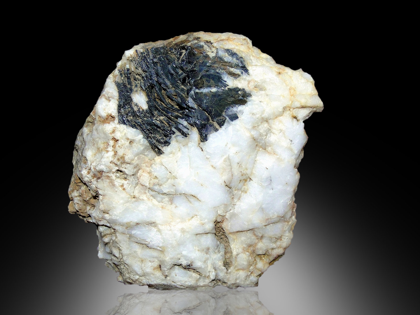 Hematites en Cuarzo
10 x 9 cm.
(Autor: Antonio P. López)