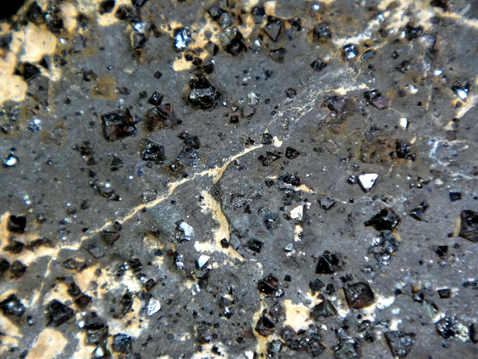 Magnetita
Campo de visión 4 cm.
(Autor: Antonio P. López)