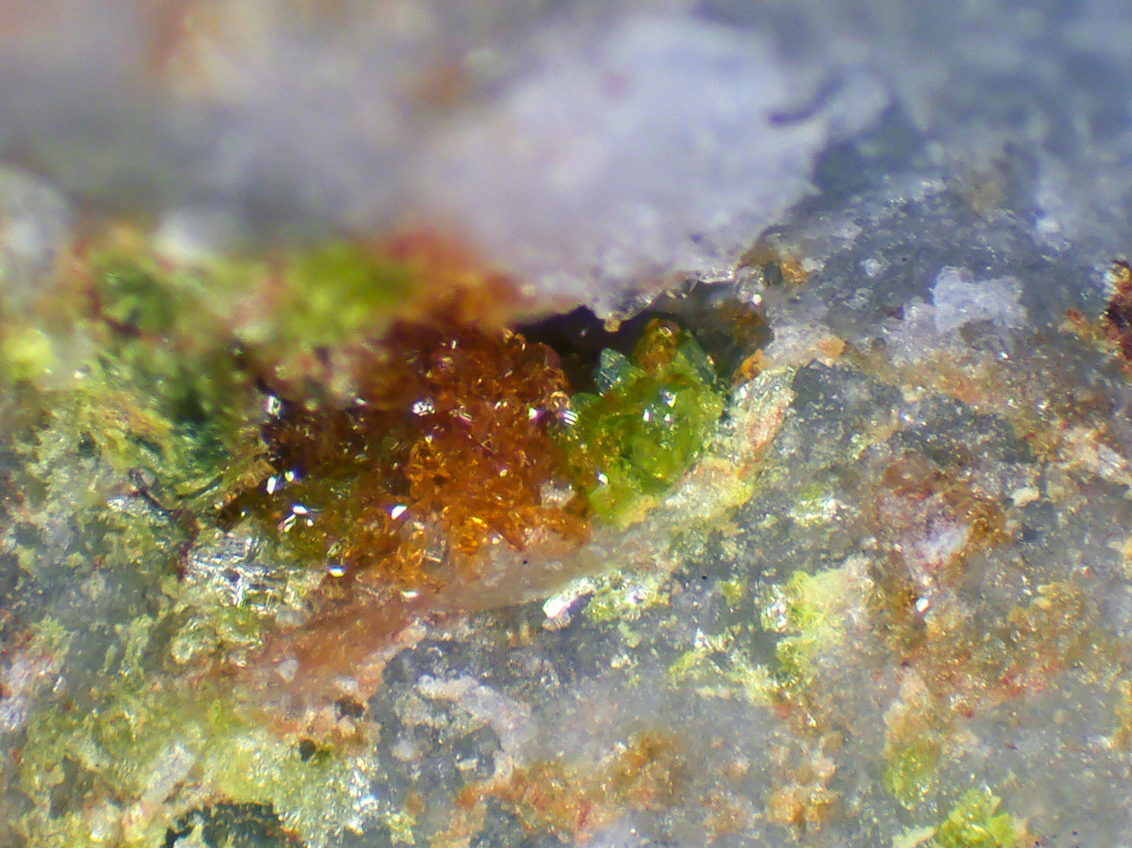 Rodalquilarita, Jarosita
Campo de visión 3 mm.
(Autor: Antonio P. López)