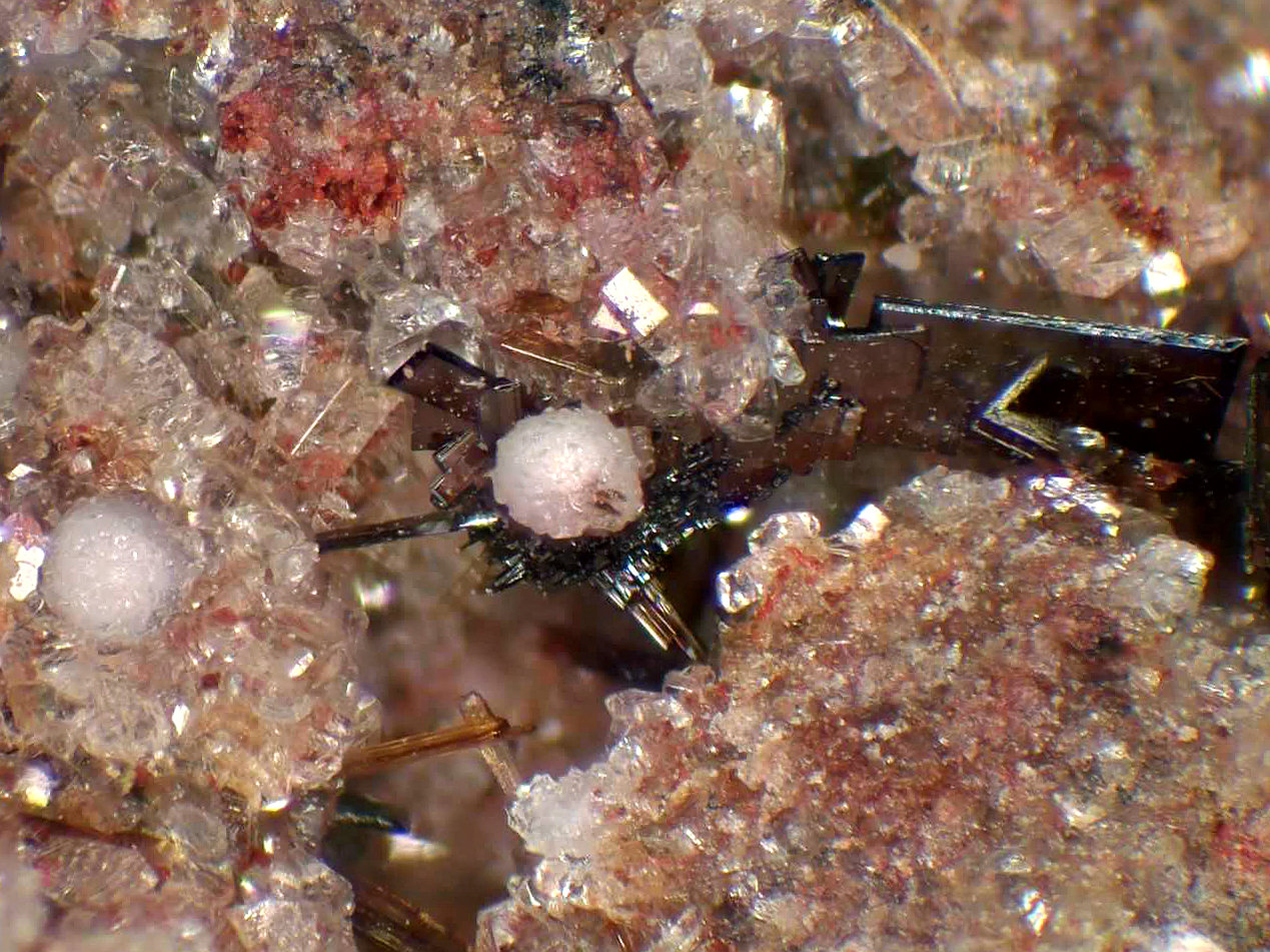 Tridimita, Armalcolita-Pseudobrookia (Serie), Enstatita, Fluoroflogopita, Sanidina
Campo de visión 10 mm.
(Autor: Antonio P. López)