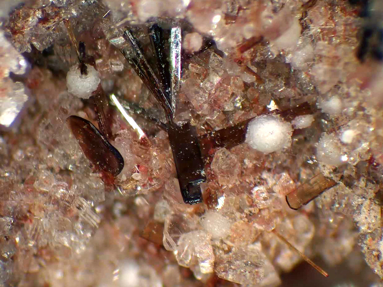 Tridimita, Armalcolita-Pseudobrookia (Serie), Enstatita, Fluoroflogopita
Campo de visión 7 mm.
(Autor: Antonio P. López)