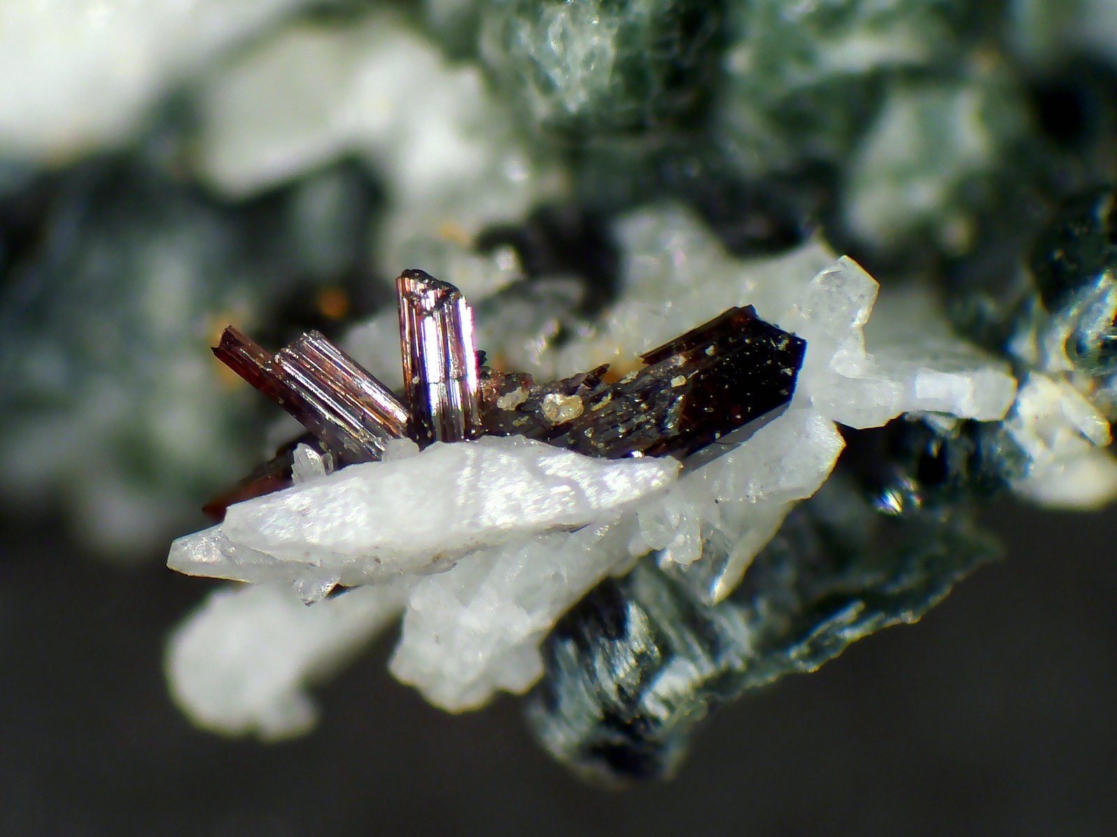 Rutilo
Cristales de hasta 3 mm.
(Autor: Antonio P. López)
