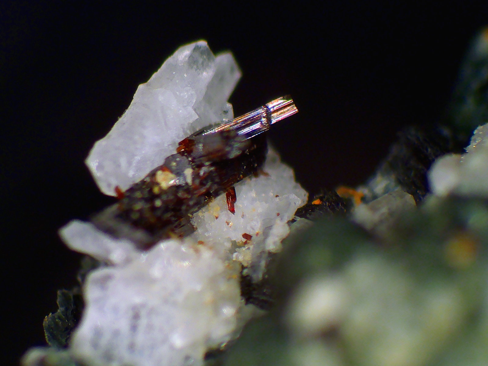 Rutilo, Cuarzo
Grupo de cristales de 1 mm.
(Autor: Antonio P. López)
