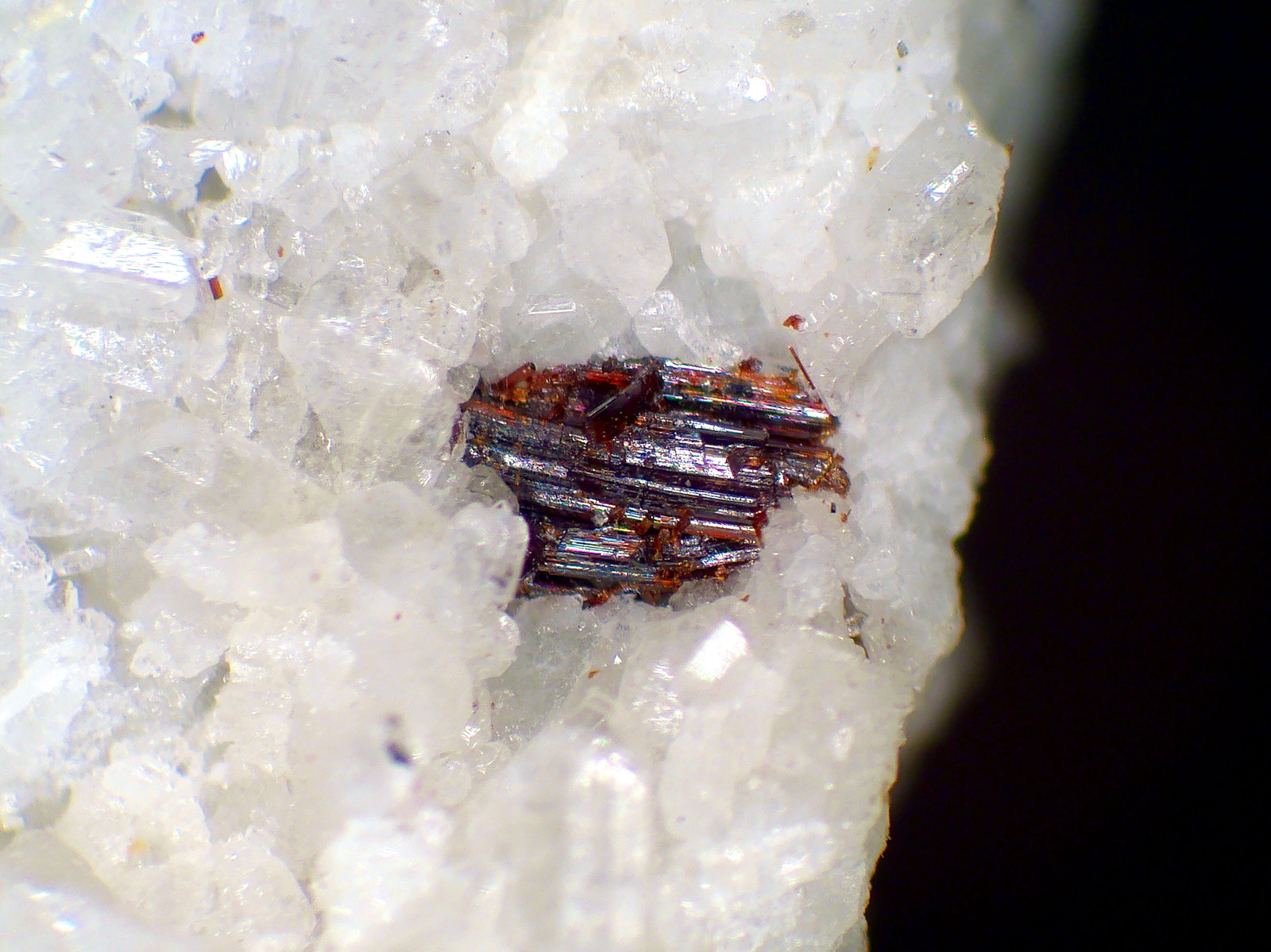 Rutilo
Cristal de 3 mm.
(Autor: Antonio P. López)