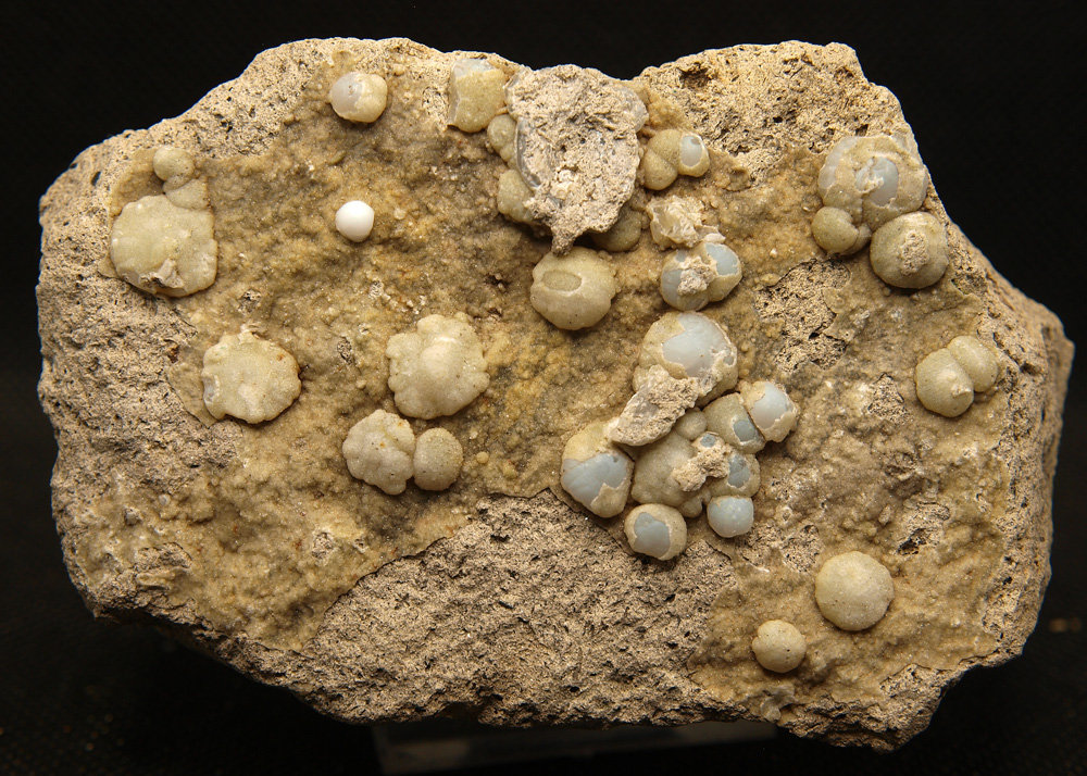 Clinoptilolita y Cuarzo (variedad calcedonia)
10 x 6.5 cm
(Autor: Pedro Antonio)