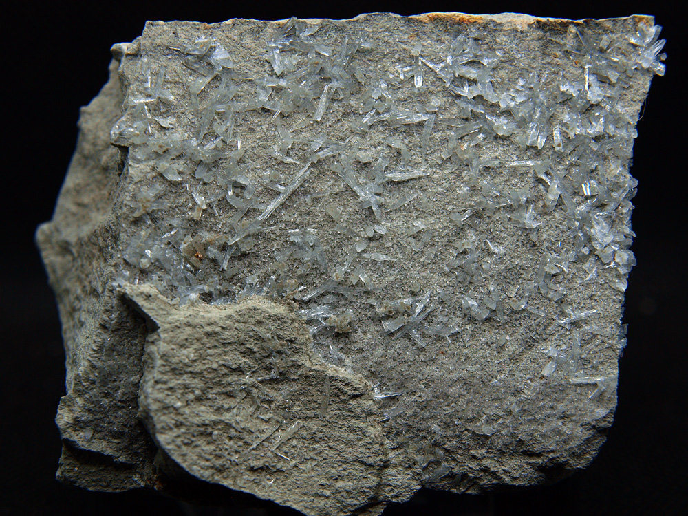 Celestina
7.5 x 7 cm
(Autor: Pedro Antonio)
