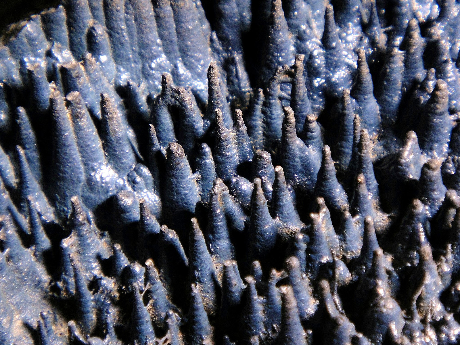 Goethita
Campo de visión 4 cm.
(Autor: Antonio P. López)
