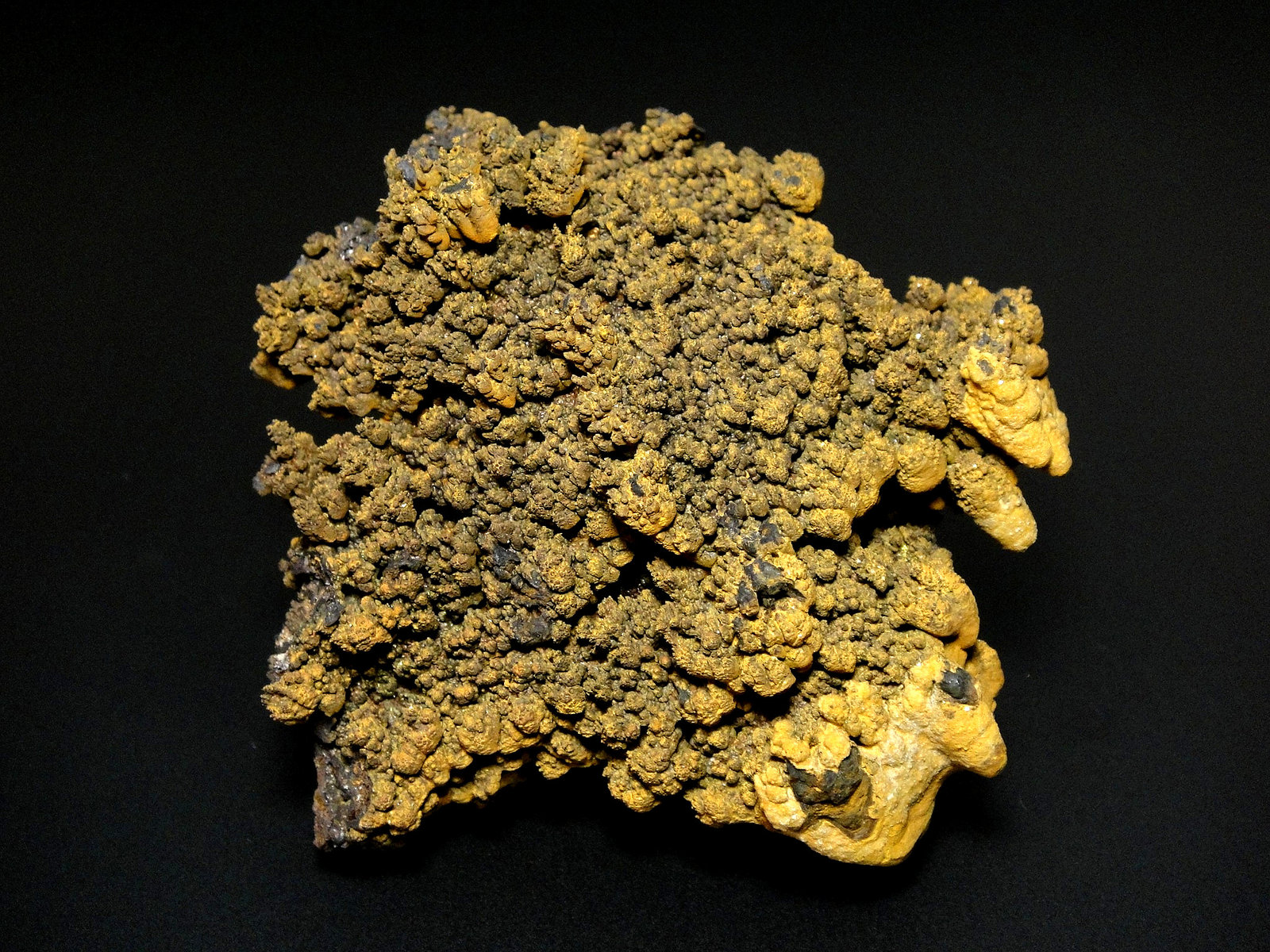 Goethita
8 x 8 cm.
(Autor: Antonio P. López)