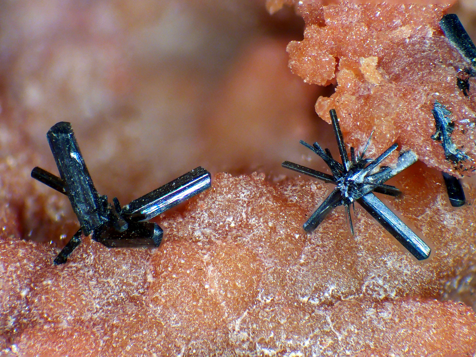 Groutita, Ópalo
Cristales de hasta 2 mm.
(Autor: Antonio P. López)