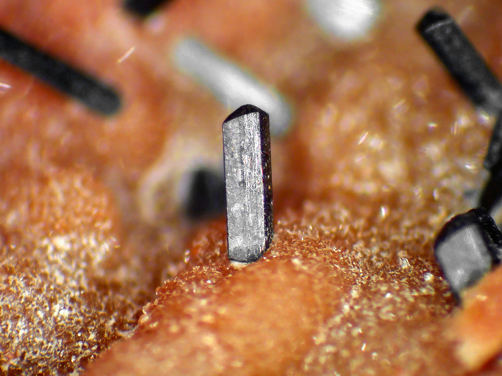 Groutita, Ópalo
Cristal de 1,5 mm.
(Autor: Antonio P. López)