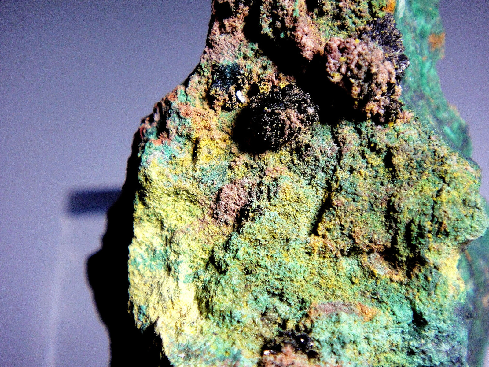 Vandenbrandeíta, Cuprosklodowskita y Uranofana
Campo de visión 4 cm.
(Autor: Antonio P. López)